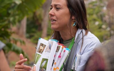 Charlas y actividades de educación ambiental