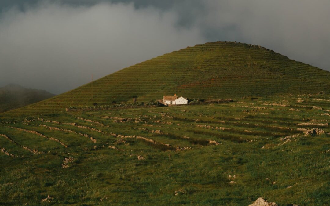 Territorios que se degustan